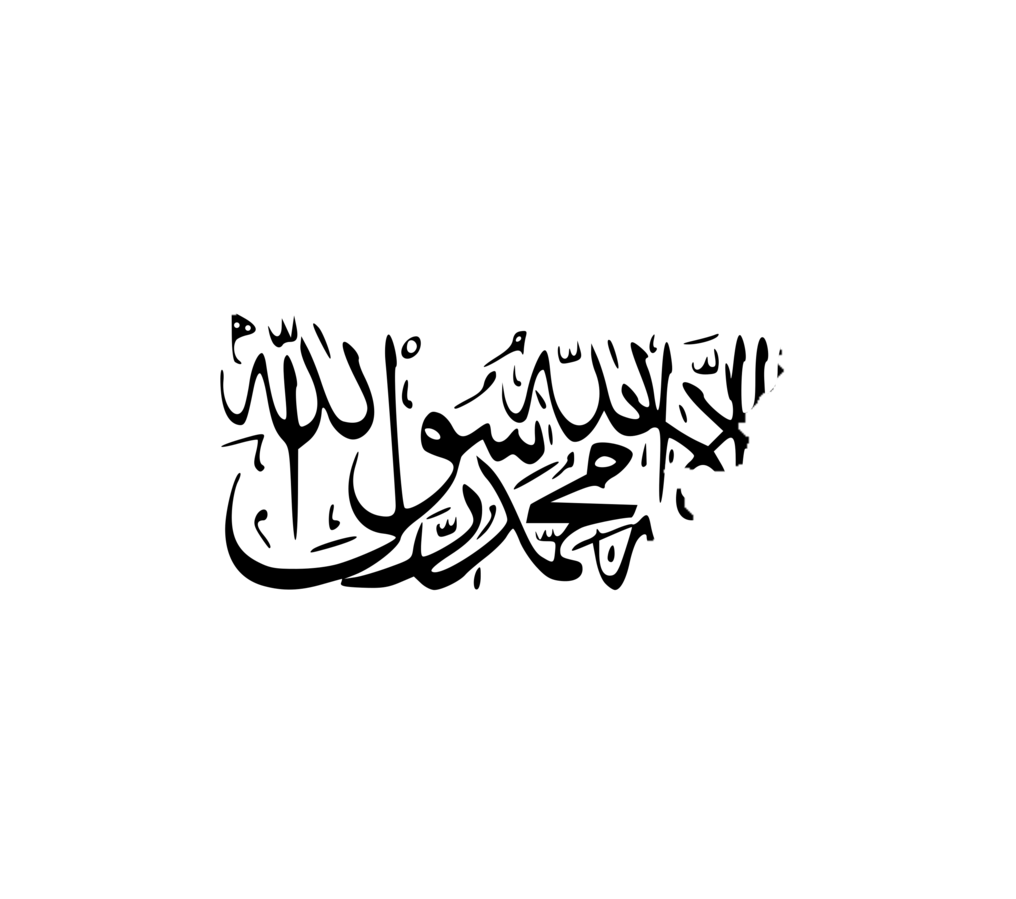 Taliban Coalition Government - Стыдуьвз, CC - BY